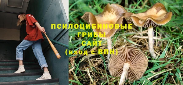 марки lsd Семилуки