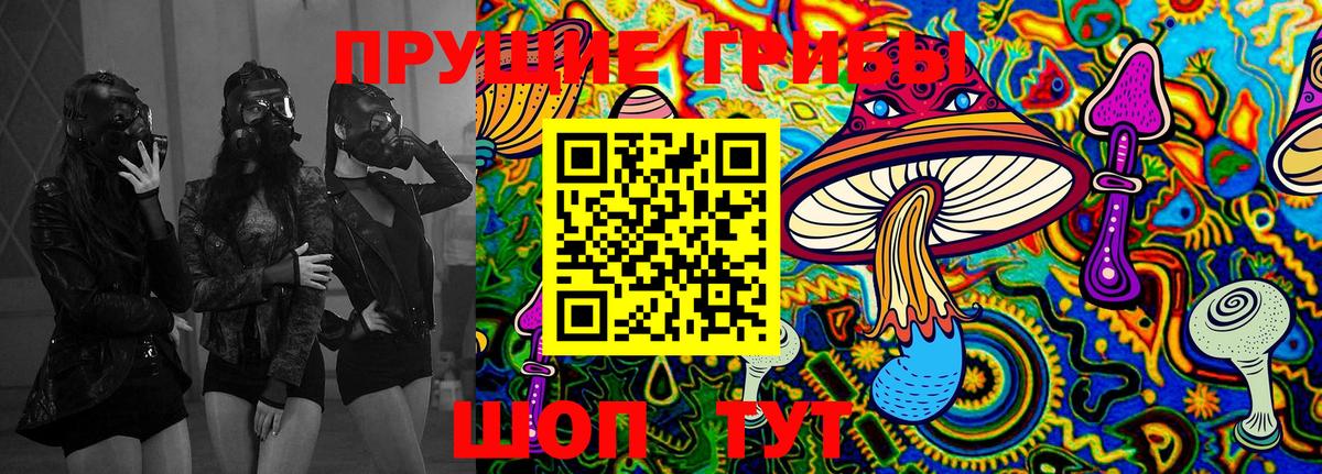 Псилоцибиновые грибы Psilocybe Удомля