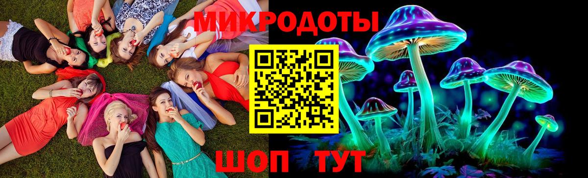 Псилоцибиновые грибы GOLDEN TEACHER  Вход с VPN  Удомля 